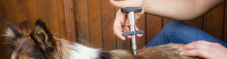 InstrumentelleTierchiropraktiHund Tierphysiotherpie move Mobile
